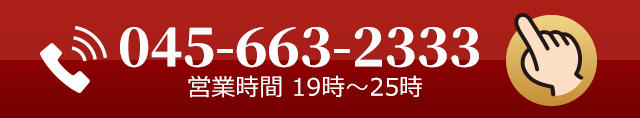 045-663-2333